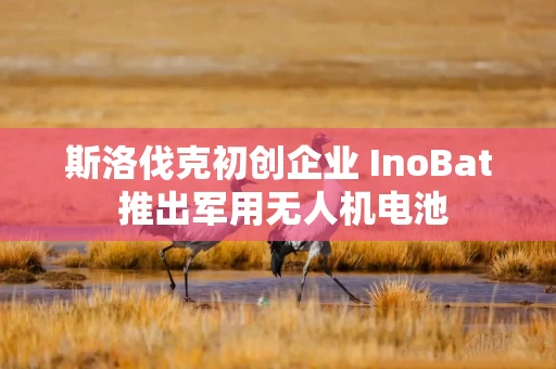 斯洛伐克初创企业 InoBat 推出军用无人机电池