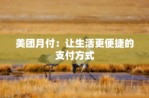 美团月付：让生活更便捷的支付方式