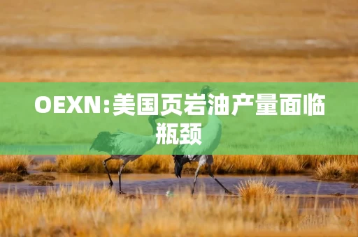 OEXN:美国页岩油产量面临瓶颈