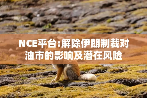 NCE平台:解除伊朗制裁对油市的影响及潜在风险