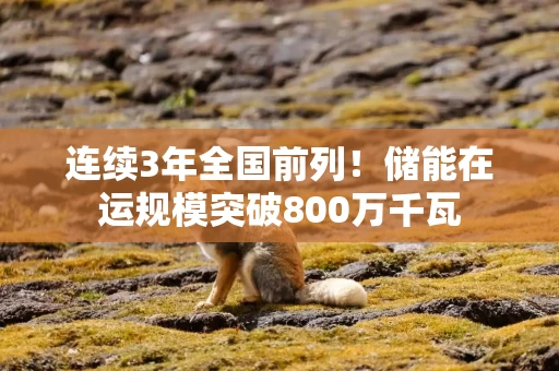 连续3年全国前列！储能在运规模突破800万千瓦