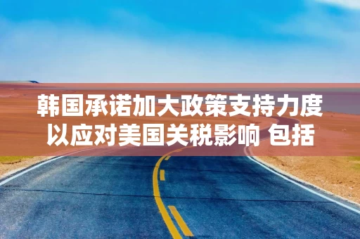 韩国承诺加大政策支持力度以应对美国关税影响 包括对制药业进行扶持