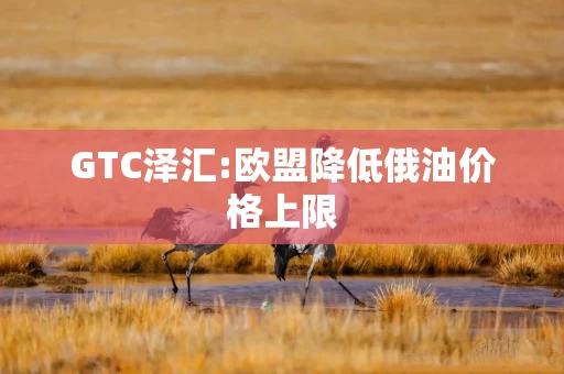 GTC泽汇:欧盟降低俄油价格上限