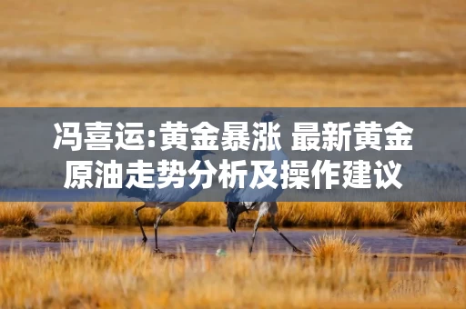冯喜运:黄金暴涨 最新黄金原油走势分析及操作建议