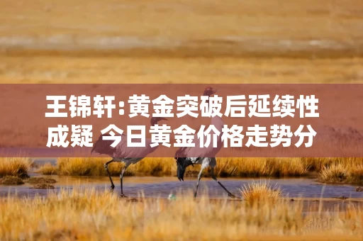 王锦轩:黄金突破后延续性成疑 今日黄金价格走势分析