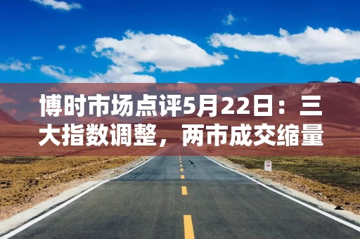 博时市场点评5月22日：三大指数调整，两市成交缩量