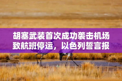 胡塞武装首次成功袭击机场致航班停运，以色列誓言报复