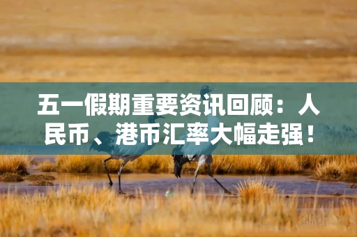 五一假期重要资讯回顾：人民币、港币汇率大幅走强！巴菲特年度股东大会召开！蓝佛安解读2024财政新政