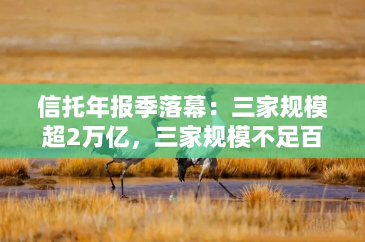 信托年报季落幕：三家规模超2万亿，三家规模不足百亿