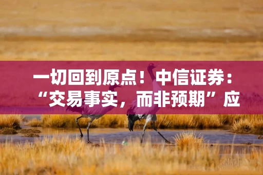 一切回到原点！中信证券：“交易事实，而非预期”应是应对不确定性第一原则