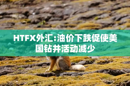 HTFX外汇:油价下跌促使美国钻井活动减少