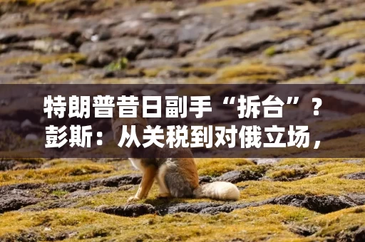 特朗普昔日副手“拆台”？彭斯：从关税到对俄立场，满盘皆是错！