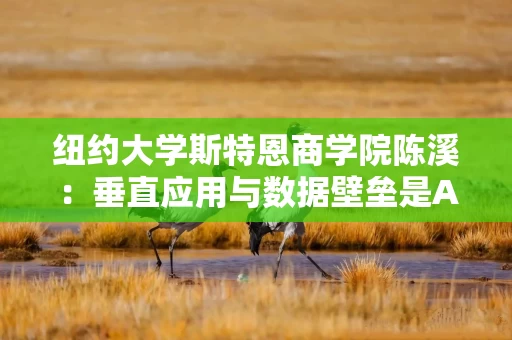 纽约大学斯特恩商学院陈溪：垂直应用与数据壁垒是AI投资的关键