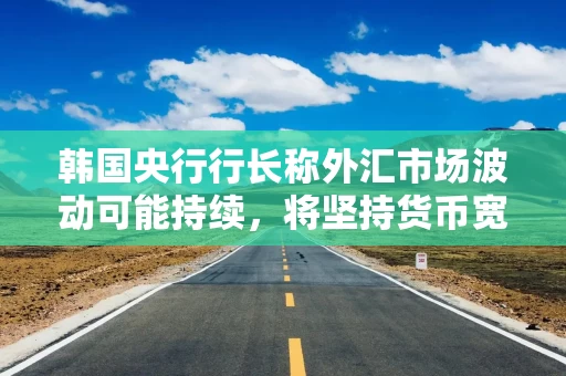 韩国央行行长称外汇市场波动可能持续，将坚持货币宽松政策