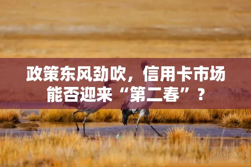 政策东风劲吹，信用卡市场能否迎来“第二春”？