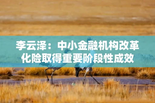 李云泽：中小金融机构改革化险取得重要阶段性成效