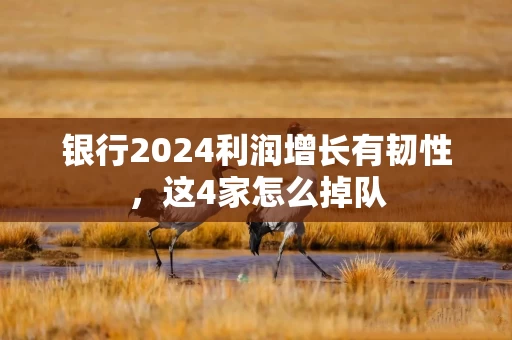 银行2024利润增长有韧性，这4家怎么掉队