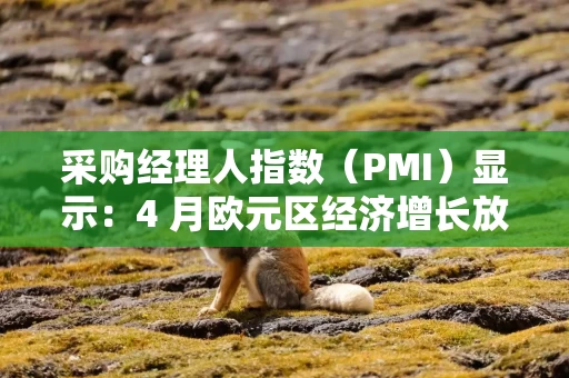 采购经理人指数（PMI）显示：4 月欧元区经济增长放缓，服务业几近停滞