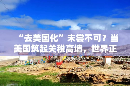 “去美国化”未尝不可？当美国筑起关税高墙，世界正在疯狂“组队”