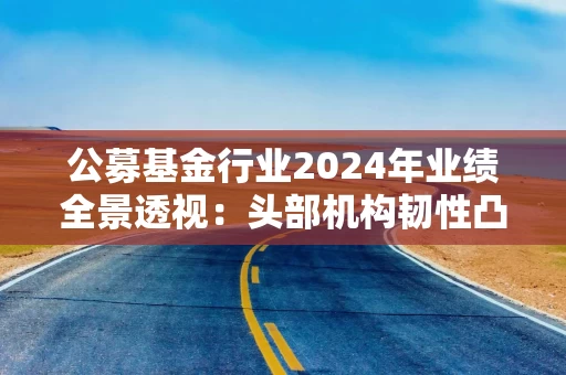 公募基金行业2024年业绩全景透视：头部机构韧性凸显 中小公司差异化突围