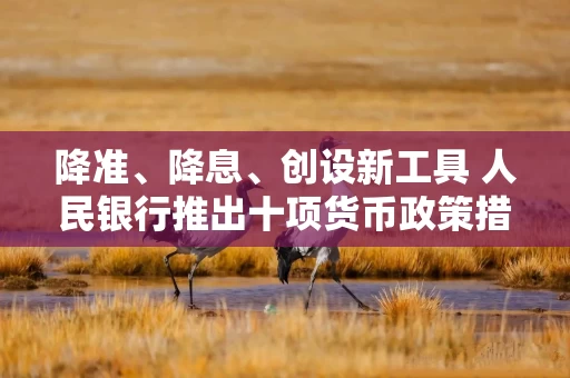 降准、降息、创设新工具 人民银行推出十项货币政策措施