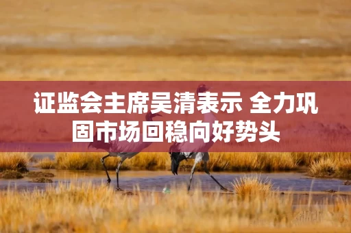 证监会主席吴清表示 全力巩固市场回稳向好势头