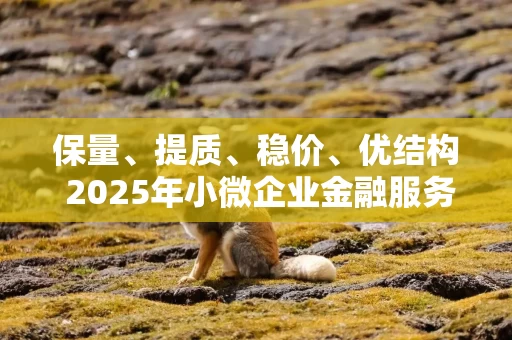 保量、提质、稳价、优结构 2025年小微企业金融服务重点明确