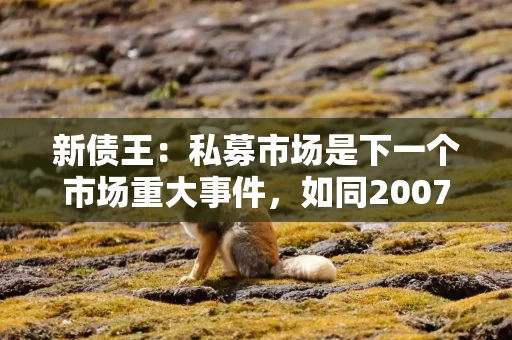 新债王：私募市场是下一个市场重大事件，如同2007年的次贷