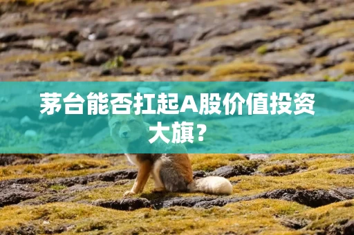 茅台能否扛起A股价值投资大旗？