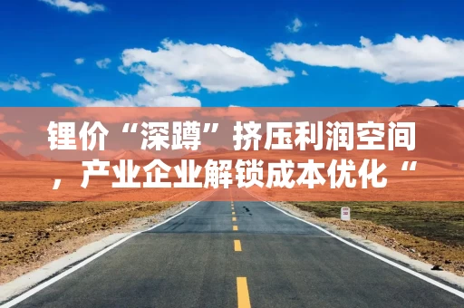 锂价“深蹲”挤压利润空间，产业企业解锁成本优化“新姿势”