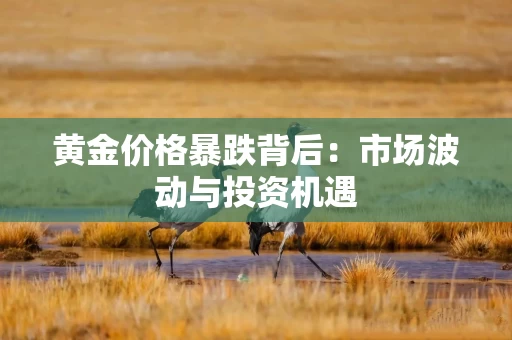 黄金价格暴跌背后：市场波动与投资机遇