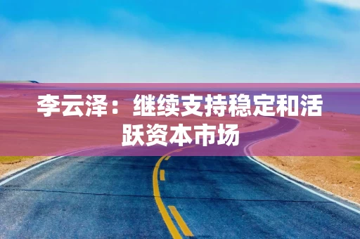 李云泽：继续支持稳定和活跃资本市场
