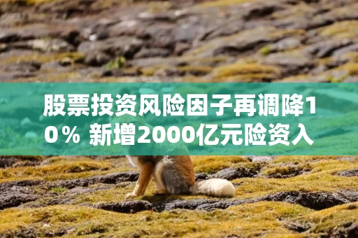 股票投资风险因子再调降10％ 新增2000亿元险资入市待发