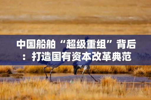 中国船舶“超级重组”背后：打造国有资本改革典范