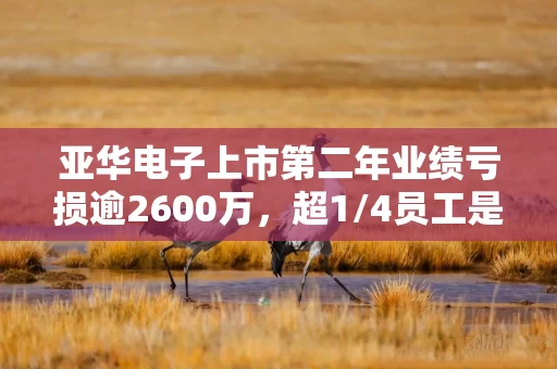 亚华电子上市第二年业绩亏损逾2600万，超1/4员工是核心技术人员？