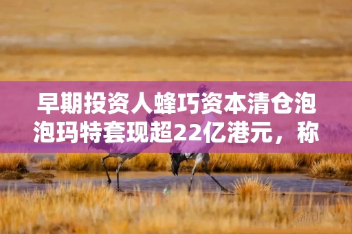 早期投资人蜂巧资本清仓泡泡玛特套现超22亿港元，称基金即将到期