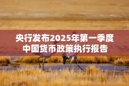 央行发布2025年第一季度中国货币政策执行报告