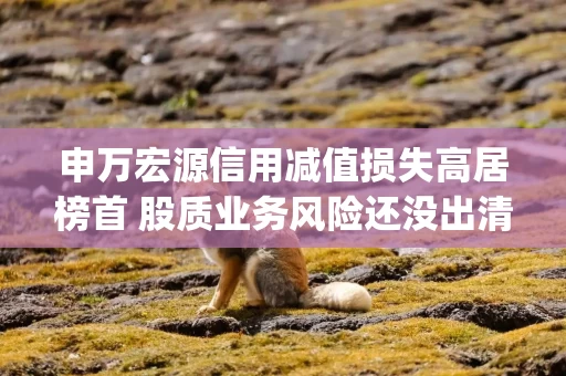 申万宏源信用减值损失高居榜首 股质业务风险还没出清又“踩雷”信托计划|券商年报