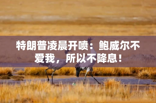 特朗普凌晨开喷：鲍威尔不爱我，所以不降息！