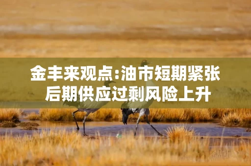 金丰来观点:油市短期紧张 后期供应过剩风险上升