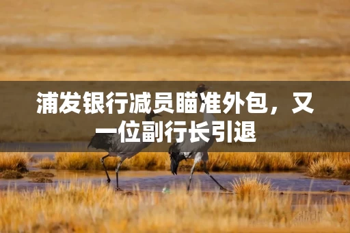 浦发银行减员瞄准外包，又一位副行长引退