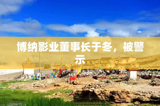 博纳影业董事长于冬，被警示