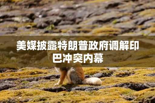 美媒披露特朗普政府调解印巴冲突内幕