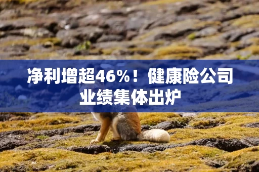 净利增超46%！健康险公司业绩集体出炉