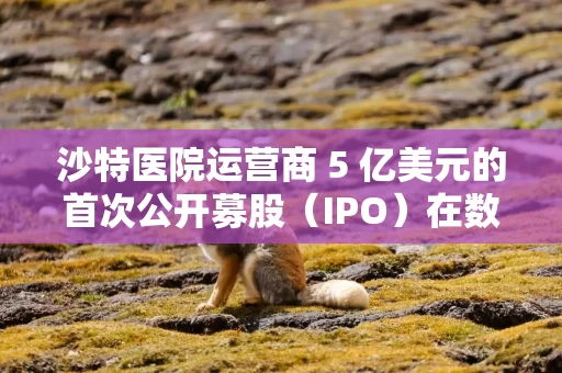 沙特医院运营商 5 亿美元的首次公开募股（IPO）在数小时内售罄