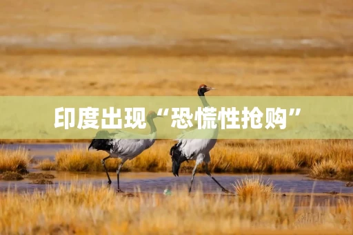 印度出现“恐慌性抢购”