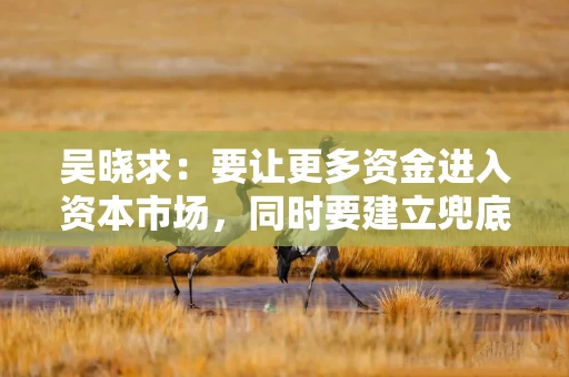 吴晓求：要让更多资金进入资本市场，同时要建立兜底资金