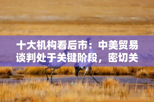 十大机构看后市：中美贸易谈判处于关键阶段，密切关注市场变化，聚焦结构破局