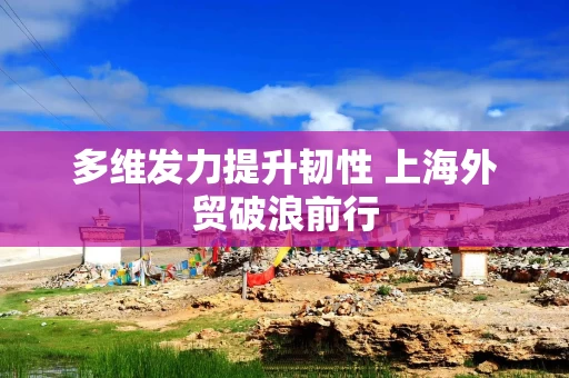 多维发力提升韧性 上海外贸破浪前行