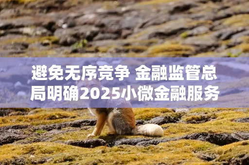 避免无序竞争 金融监管总局明确2025小微金融服务新目标